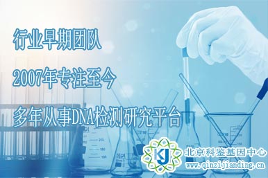 專注親子鑒定十年