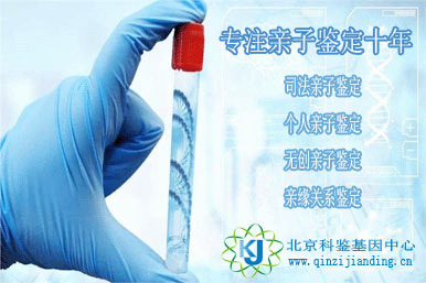 十年專注親子鑒定