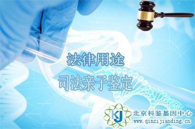 法律用途親子鑒定