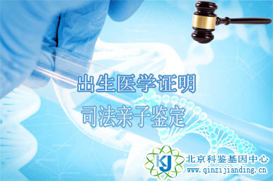 出生證明親子鑒定