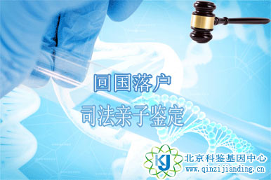回國(guó)落戶親子鑒定