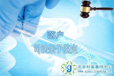 落戶親子鑒定