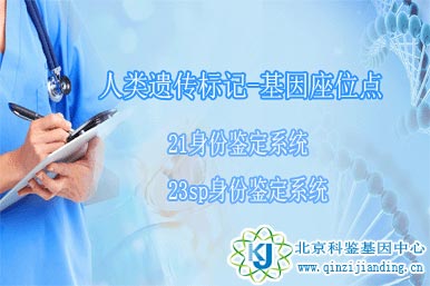 人類遺傳標(biāo)記-基因座位點(diǎn)