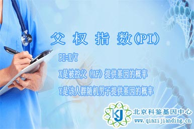 父權(quán)指數(shù)(PI)