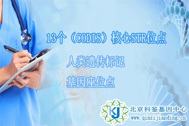 13個(gè)（CODIS）核心STR位點(diǎn)