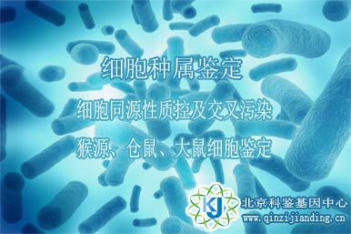 細胞種屬鑒定