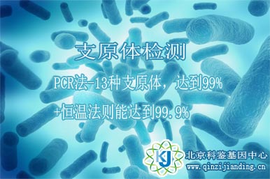 支原體檢測