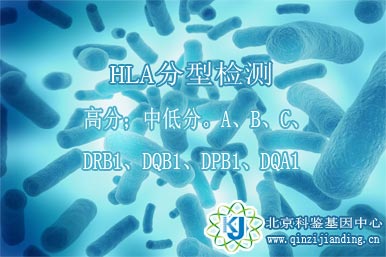 HLA分型