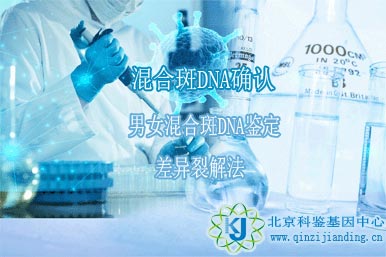 混合斑DNA確認(rèn)