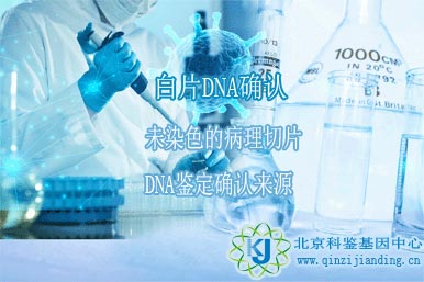 白片DNA識(shí)別