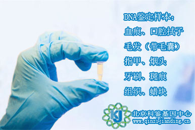 親子鑒定樣本