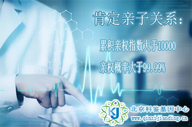 親子鑒定-肯定的結果分析