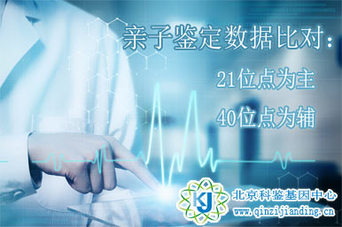 親子鑒定數(shù)據(jù)比對