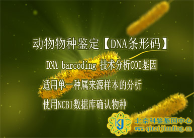動(dòng)物物種鑒定