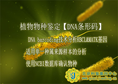 植物物種鑒定