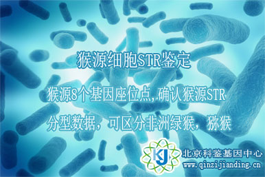 猴源細(xì)胞鑒定